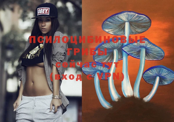 молекула духа Бронницы